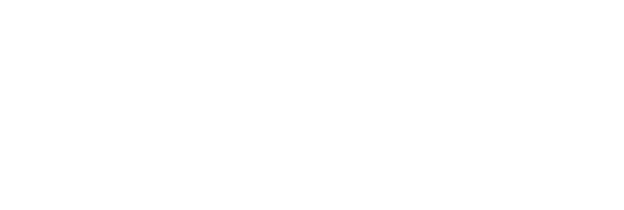 ANIMAX